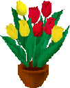 des roses dans un pot très petit